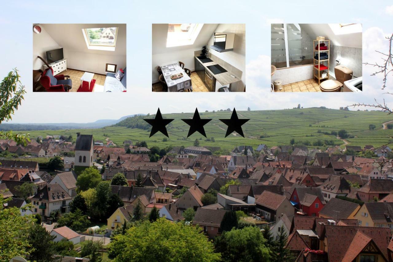 Gite Des 5 Cigognes Rouge Mittelwihr Exterior foto