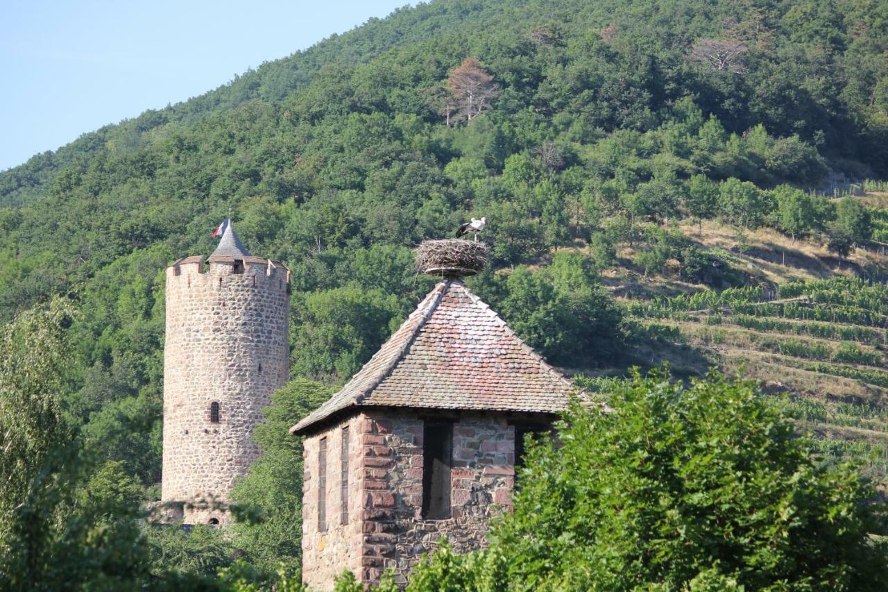 Gite Des 5 Cigognes Rouge Mittelwihr Exterior foto